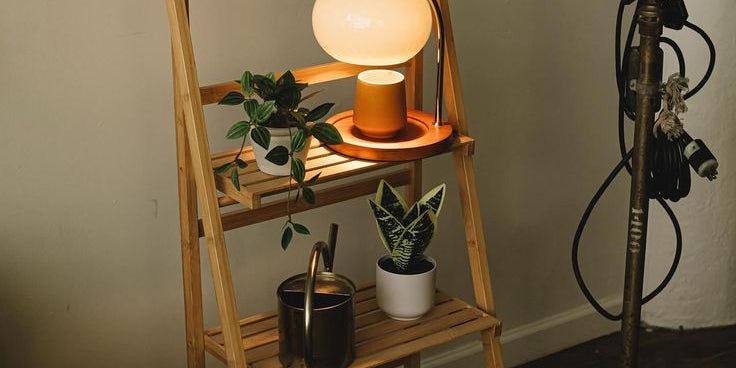 Candle Warmers for Cozy Home Lighting