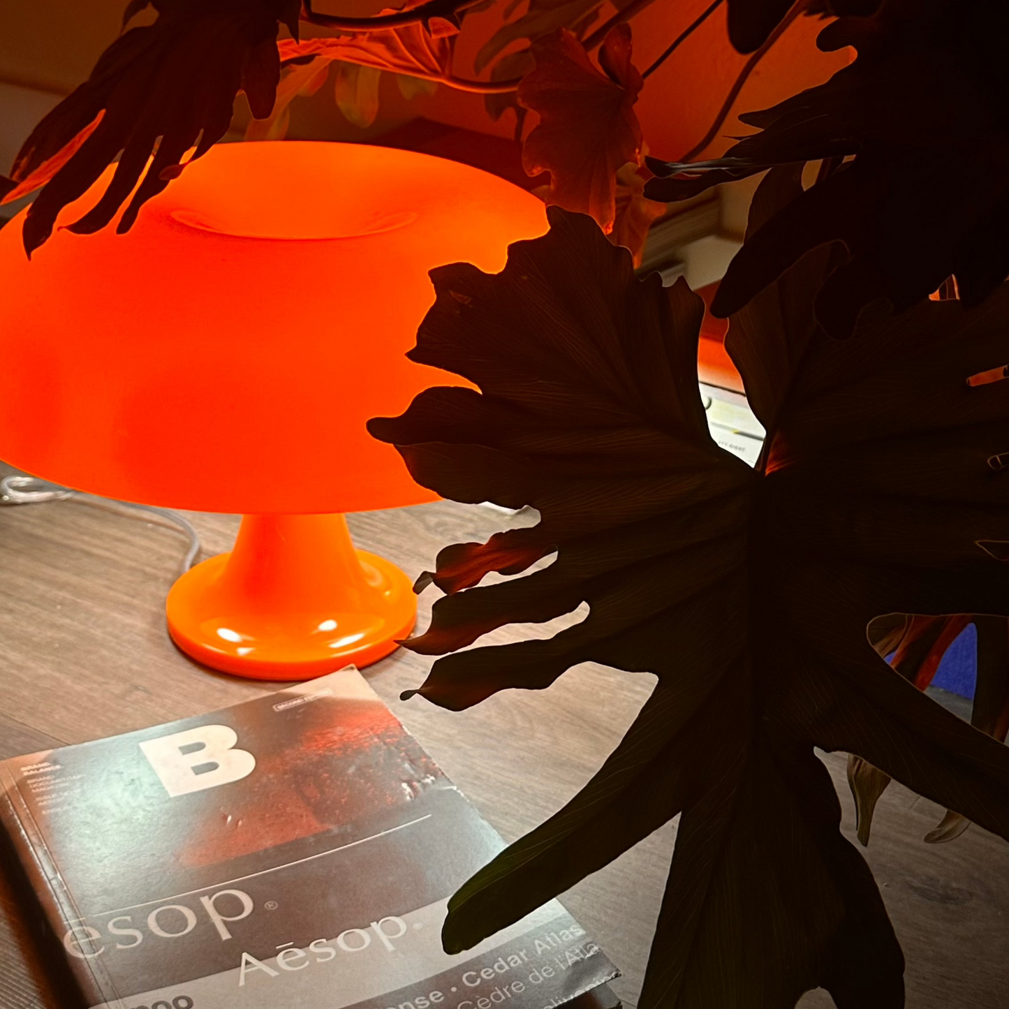 The Moretti - Lucy’s Lamps is a modern orange table lamp with retro charm, ideal for bedside table lamps or side table lamp setups. Use as a small desk lamp or light therapy lamp in modern lamp for bedroom or living room. Aesthetic lamp design fits mid century table lamp and minimalist spaces.